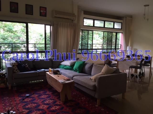 Mayfair Gardens (Enbloc) (D21), Condominium #96082482